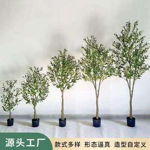 亚马逊仿真橄榄树家居客厅室内落地大型植物盆栽橱窗装饰橄榄树厂