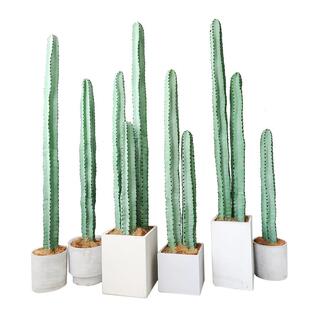 北欧大型仿真仙人掌盆栽热带沙漠场景装饰盆景假仙人柱量天尺摆件