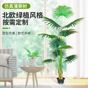 仿真绿植蒲葵高端轻奢加州葵树盆栽装饰室内扇葵树植物造景摆件厂
