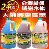 海豚硝化细菌水质澄清剂水质安定剂3.8升3800毫升大桶净水除氯