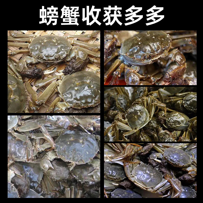 螃蟹笼钓螃蟹神器抓蟹捕蟹笼螃蟹钩海用螃蟹杆捕螃蟹网专用钩笼子
