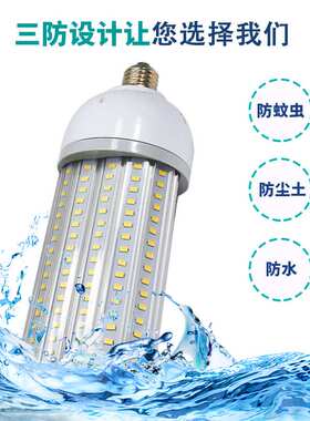 LED高亮节能压铸铝防水贴片 30W48w100W180°半面玉米灯庭院路灯