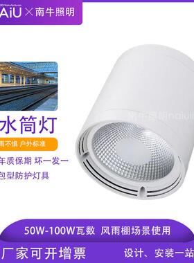 民航机场灯具led50w80w100w ip65户外防水防潮明装筒灯 货运雨棚