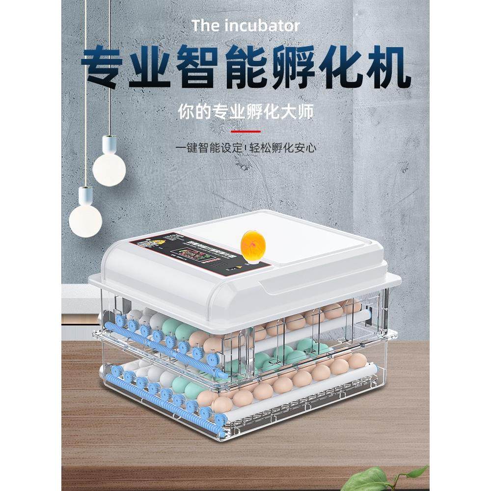 孵化温控器观察鸡苗小型家用鸟类机全自动小鸡儿童芦丁,鲜花速递/花卉仿真/绿植园艺,新娘手捧花,淘宝优惠券,粉丝福利购,淘宝优惠卷