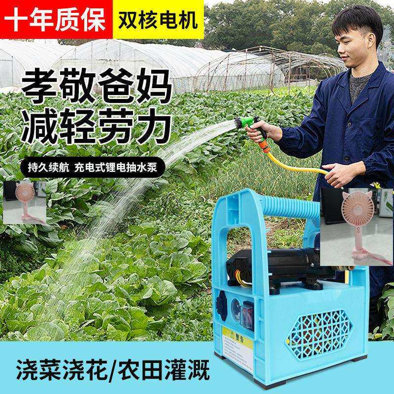 充电式抽水泵浇菜神器抽水机小型电动农用灌溉家用户外自吸浇水机