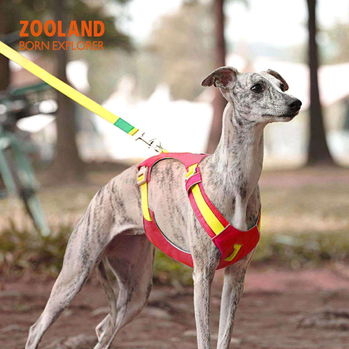 ZOOLAND狗狗胸背牵引绳遛幼小中大型犬泰迪柯基比熊边牧博美链子