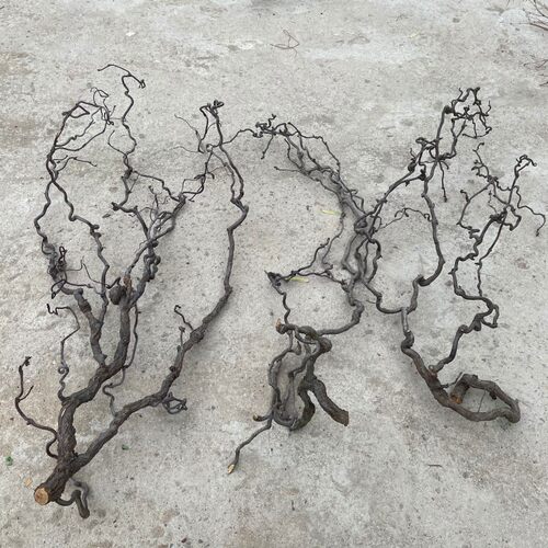 干树枝家庭装饰 一物一拍 龙枣树摆件插花干枝山水造型客厅