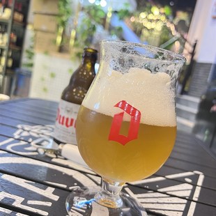 督威精酿啤酒杯郁金香高脚杜威玻璃大肚水杯330ml伺酒杯家用酒具