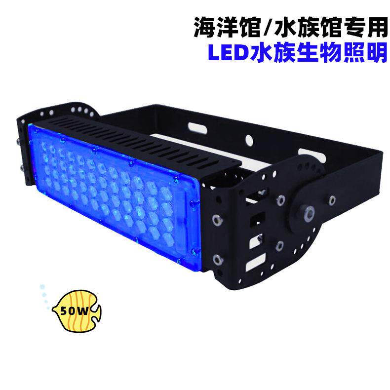 LED水族馆萌宠区50W动物照明灯海洋馆缸海水淡水小鱼缸生物灯蓝光