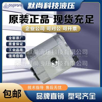 卡普罗尼Caproni齿轮泵00A(C)0.25X045H/X46/X047/X048W1液压油泵