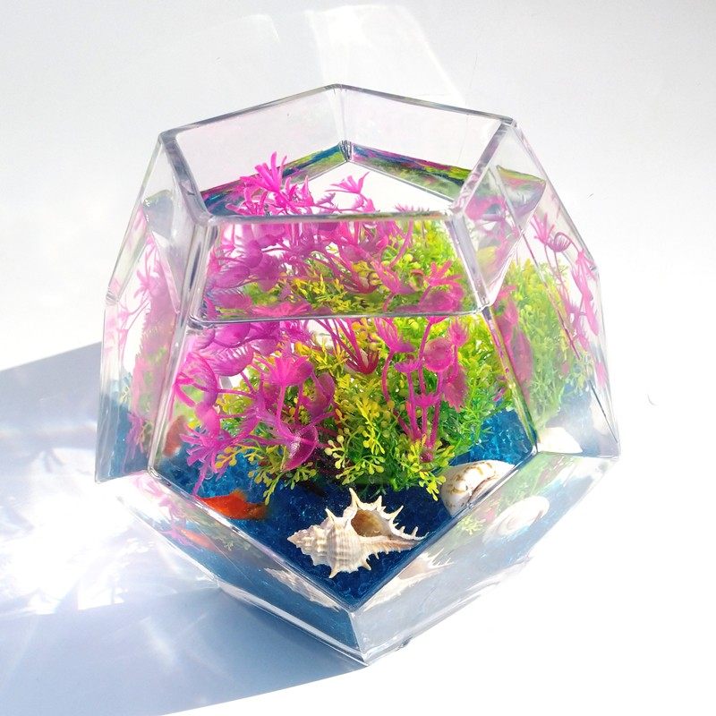 多面体桌面小鱼缸小型迷你几何斗鱼杯创意个性微景观超白玻璃鱼缸,宠物/宠物食品及用品,生态瓶/创意缸/微景缸,淘宝优惠券,粉丝福利购,淘宝优惠卷