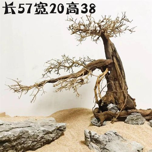 鱼缸沉木造景木 杜鹃根 巴西树莫斯树 草缸迎客松树森林 一图一选
