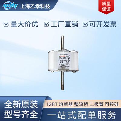 巴斯曼熔断器 170M8613 170M8614 170M8615 170M8616 170M8617