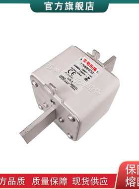 170M6867 6868 6869 6870 6891 8645 8646 8650 巴斯曼快速熔断器