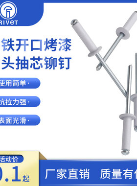 白色烤漆头铝制拉钉 开口型扁圆头抽芯铆钉装潢钉M4.8M5 GB12618