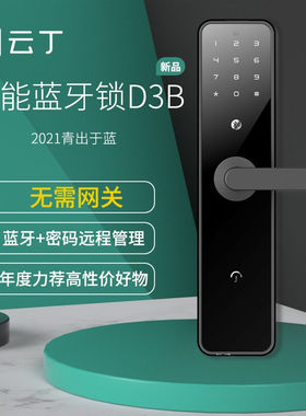 云丁D3B蛋壳公寓密码锁鹿客租住app出租民宿酒店电子智能锁防盗门