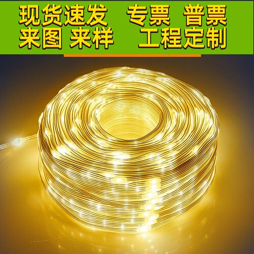 LED小彩灯闪灯串灯太阳能皮线灯24v低压户外露营庭院防水装饰树灯