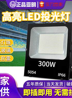 工地工程夜市摆摊移动插电LED投光灯庭院50W探照灯带电线照明灯