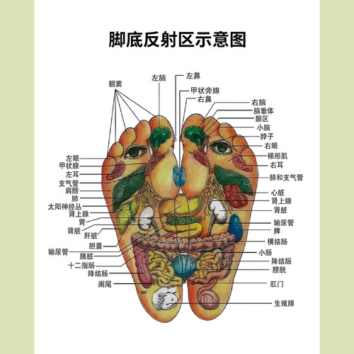 脚底反射图海报足底穴位图脚底穴位墙贴定制足疗画挂图KT板装饰画