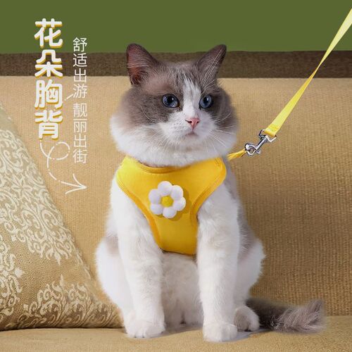 猫咪牵引绳背心式立体花朵溜猫绳宠物背心工字型胸背狗狗背带