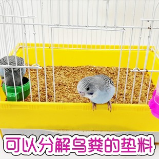 虎皮鹦鹉木屑垫料文鸟除臭刨花繁殖箱鸟笼宠物菌密码新品满就送