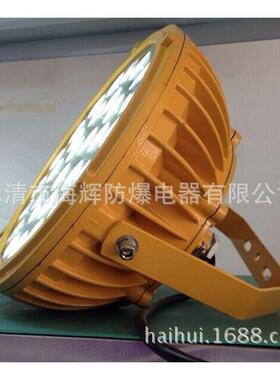 BFC6181A-L30瓦LED防爆灯BFC6181A-L60/30W 40瓦60W100瓦