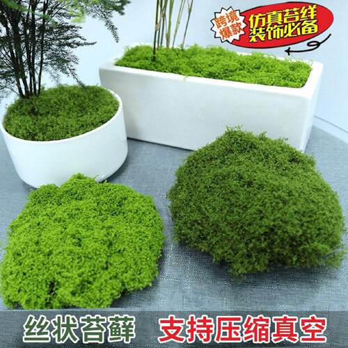 彷真苔藓人造微景观摆件草坪青苔盆景盆栽装饰造景假丝状毛线苔藓