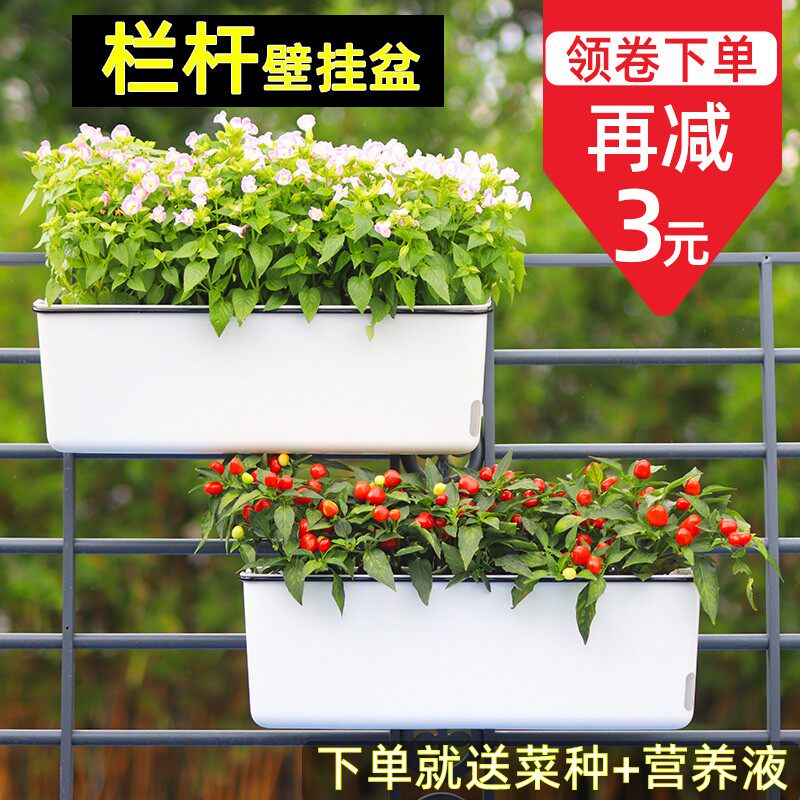 壁挂花盆悬挂阳台种菜盆吊兰绿萝多肉花盆自吸水防漏水塑料懒人盆