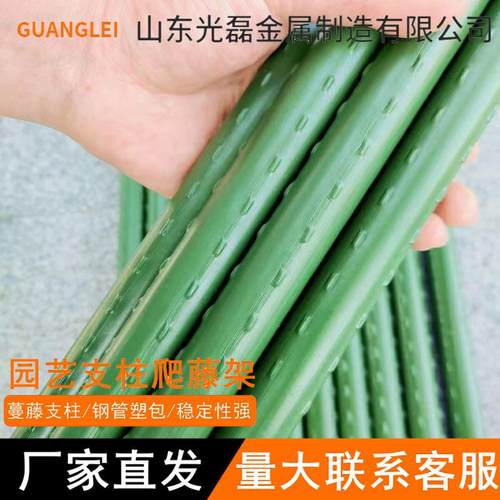 爬藤架包塑钢管攀爬架月季豆角西红柿黄瓜园艺固定杆葡萄架