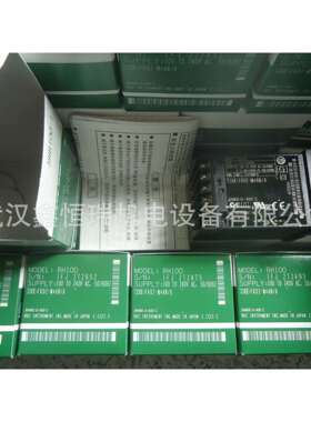 RKC RD100温控表RD100WK02-VM-4*NN-N1/AN原装现货