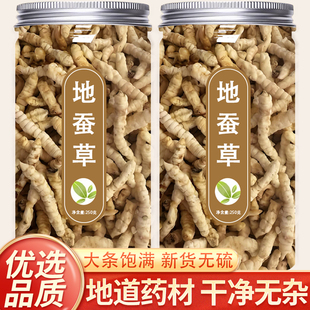 地蚕草中药材正品新货新鲜白虫草正宗干货地蚕草泽兰根泡水喝功效