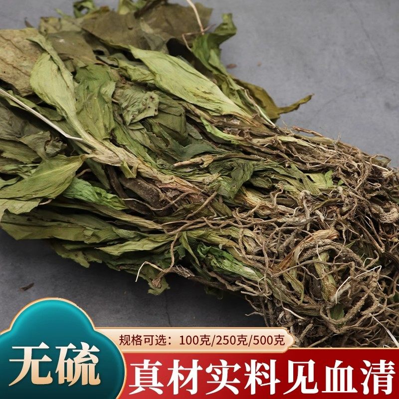 中药材见血清苗天然包邮500g克中草药见血清草药明月草干血清草干