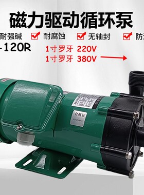 MP-120R磁力驱动循环泵1寸罗牙微型磁力泵塑料电镀化工水泵离心泵