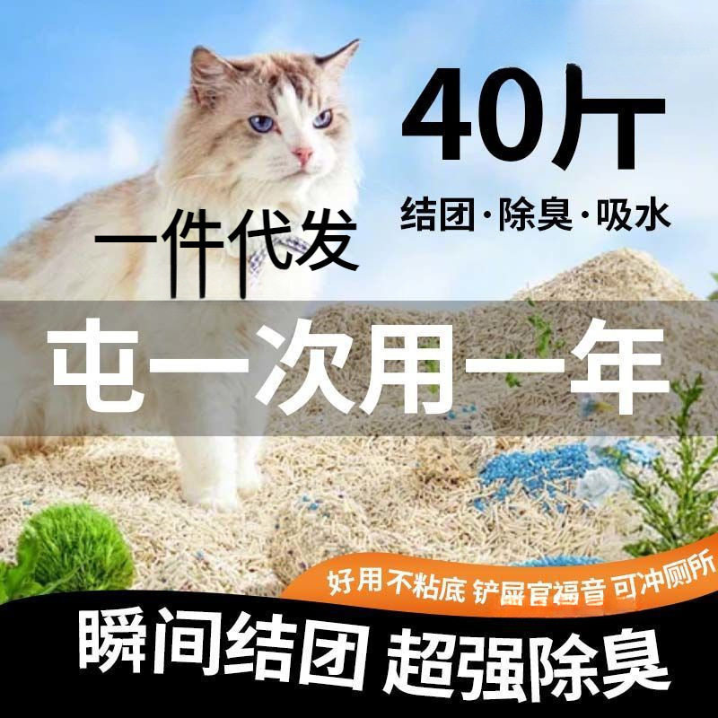 猫砂混合豆腐砂除臭无粉尘去味快速结团可冲厕所低尘
