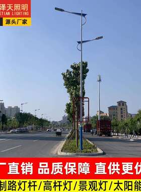 厂家8米10米12米路灯杆 户外市政led道路照明灯高低臂市电路灯