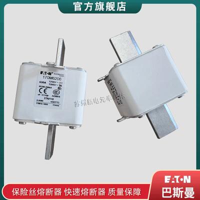 170M6202 6203 6206 6207 6229 6256 6277 6281 6299巴斯曼熔断器