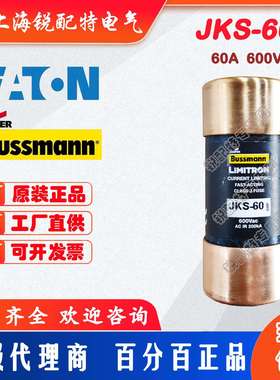 JKS-60 熔断器 600V 60A 巴斯曼BUSSMANN快速熔断器JKS-40 JKS-50