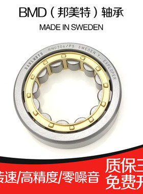 瑞典BMD圆柱滚子轴承RNU202 203 204 205 206 207 208 209 210 P5