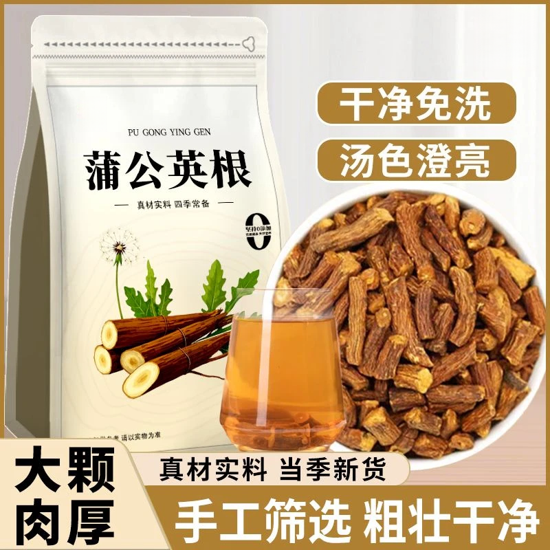 蒲公英根野生长白山蒲公英根新鲜干货炒熟特级蒲公英根纯老根天然