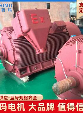 电机YB2高压防爆电机900W10V隔爆型防爆高压电机厂家