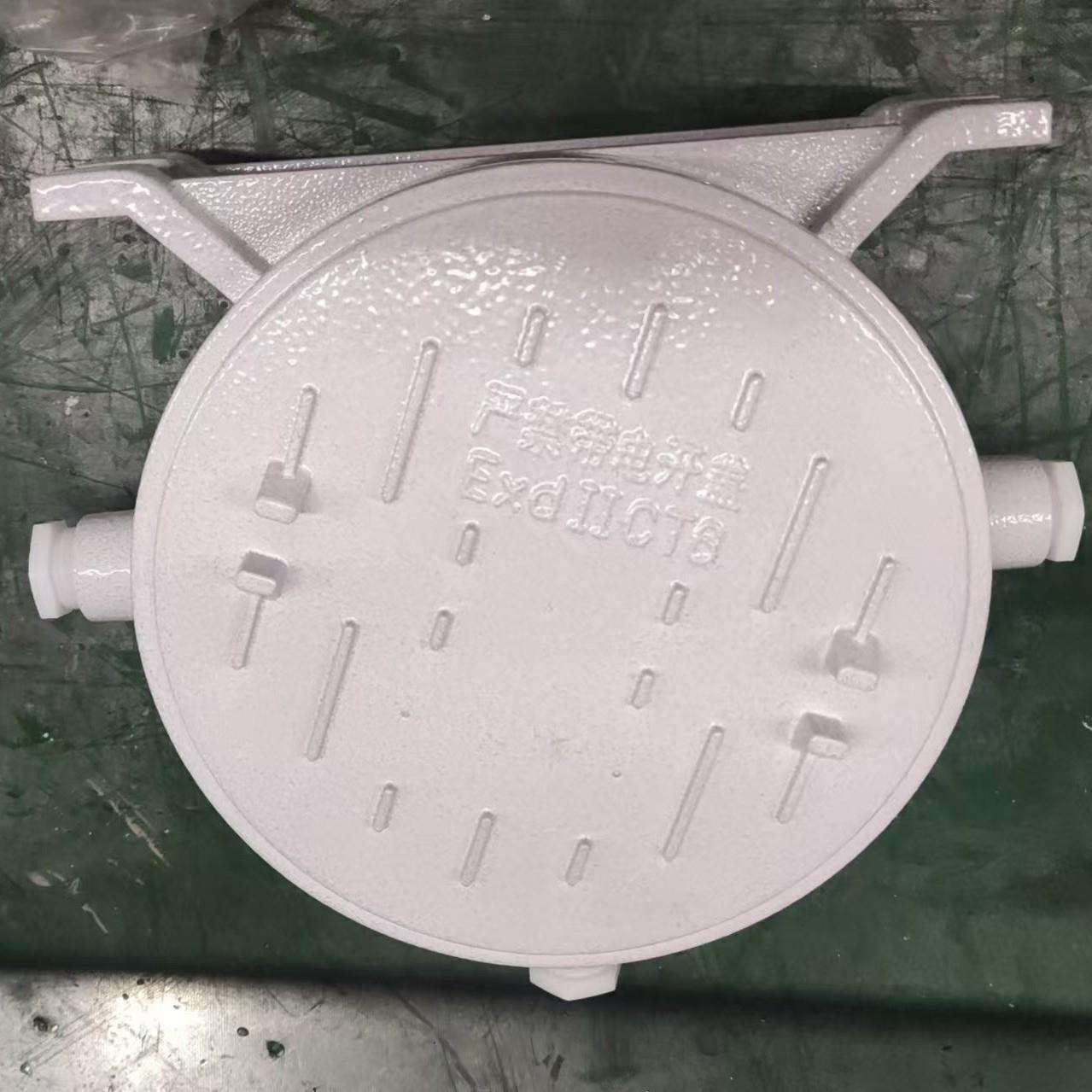 IIC防爆镇流器箱 圆形防爆镇流器箱