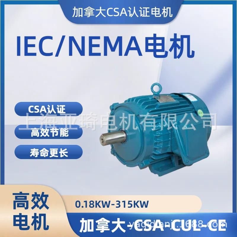 CSA csa认证电机加拿大 60HZ480V575V600V出口加拿大电机