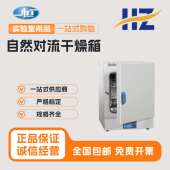 干燥箱实验室DHG 9031A DHG 上海一恒 9051A 9091A自然对流