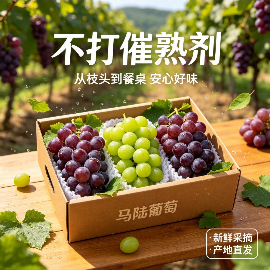 上海马陆葡萄巨峰巨丰新鲜直发