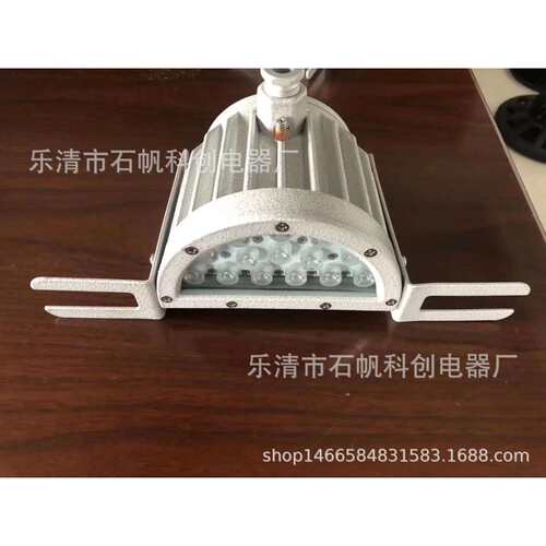 30WLED防爆视孔灯 视镜射灯 DC24V反应釜防爆灯