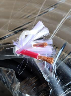 纯铜2X4平方音响工程线缆 音响护套线 高弹软料RVV护套线 广播线