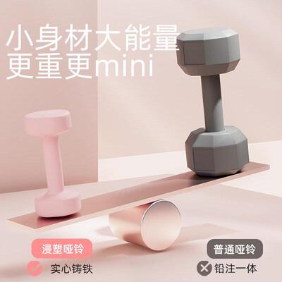 家用哑铃一对铸铁健身器材