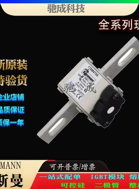 巴斯曼170M4765 170M4766 170M4767 现货供应厂价直供 快熔保险丝