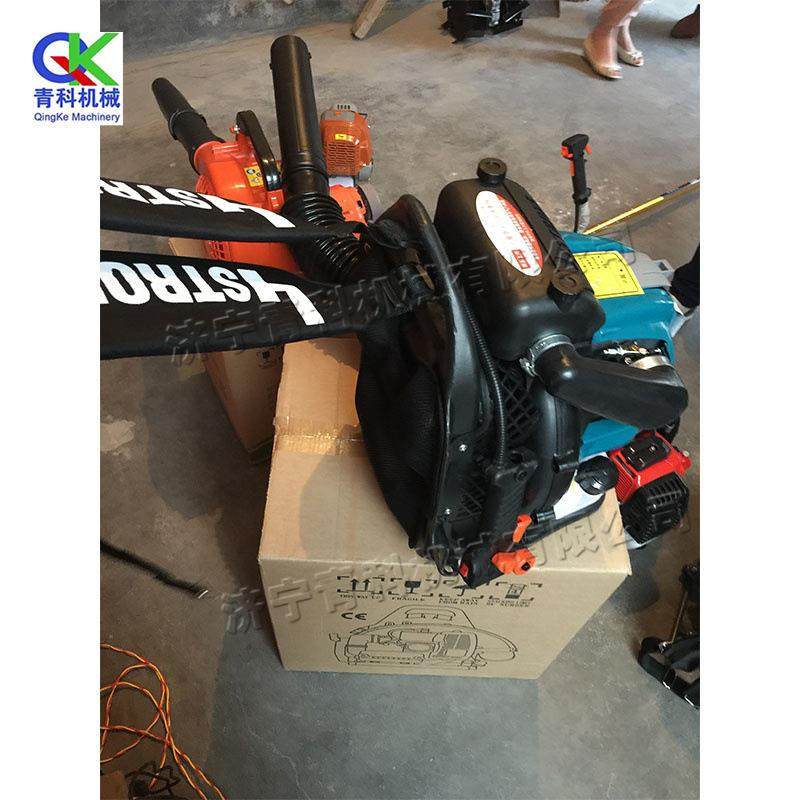 背负式四冲程吹风机 灌木林火灾风力灭火机 庭院积雪树叶清扫机,鲜花速递/花卉仿真/绿植园艺,割草机/草坪机,淘宝优惠券,粉丝福利购,淘宝优惠卷