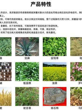 跨境TK100H便携式稻草水份测定仪 稻谷稻草干草水份检测仪测定仪